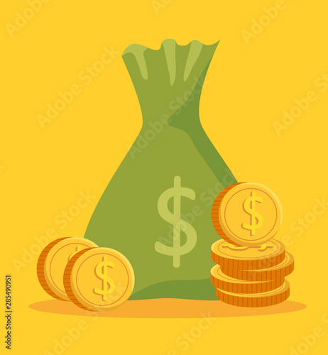 Cuadros en Lienzo bag money with coins cash currency