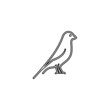 logo design with a canary shape which can be used for symbols