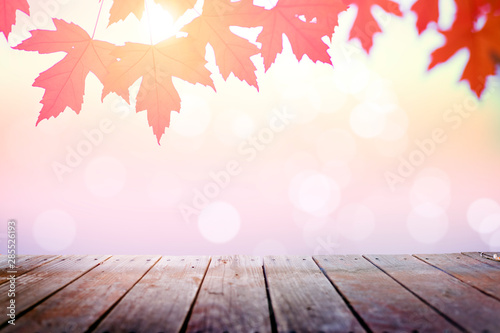 Wooden deck with autumn leaves in sunny day background
