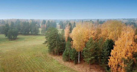 Wall Mural - Aerial view of autumn forest. Fall landscape with red, yellow and green trees and fields with a mowed grass in sunny day