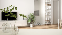 White Table Top Or Shelf With Glass Vase With Hydroponic Plant, Ornament, Root Of Plant In Water, Branch In Vase, House Plant, Modern Blurred Living Room Background, Interior Design