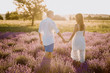 Couple in Lavender Field Romantic Time at Sunset. Long Shot of Beautiful Young People Dating and Walking Together Outdoor. Back View of Lovers Holding Hands on Summer Purple Blooming Meadow