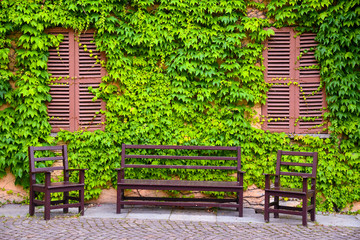 Poster - Wooden garden bench and chairs in front of an old building with closed window shutters and a wall totally covered with green leaves of creeper (Ampelopsis) in summer, Piedmont, Italy