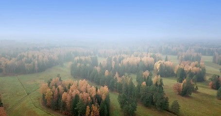 Wall Mural - Aerial view of autumn forest. Fall landscape with red, yellow and green trees and fields with a mowed grass in sunny day