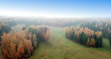 Wall Mural - Aerial view of autumn forest. Fall landscape with red, yellow and green trees and fields with a mowed grass in sunny day