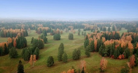 Wall Mural - Aerial view of autumn forest. Fall landscape with red, yellow and green trees and fields with a mowed grass in sunny day