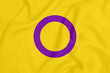 LGBT intersex pride community flag on a textured fabric. Pride symbol