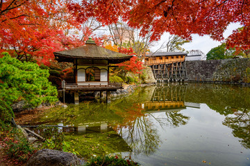 Wall Mural - wakayama castle in the autumn park, momijidani teien garden in wakayama castle, japan
