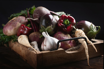 Wall Mural - Fresh harvested vegetables.