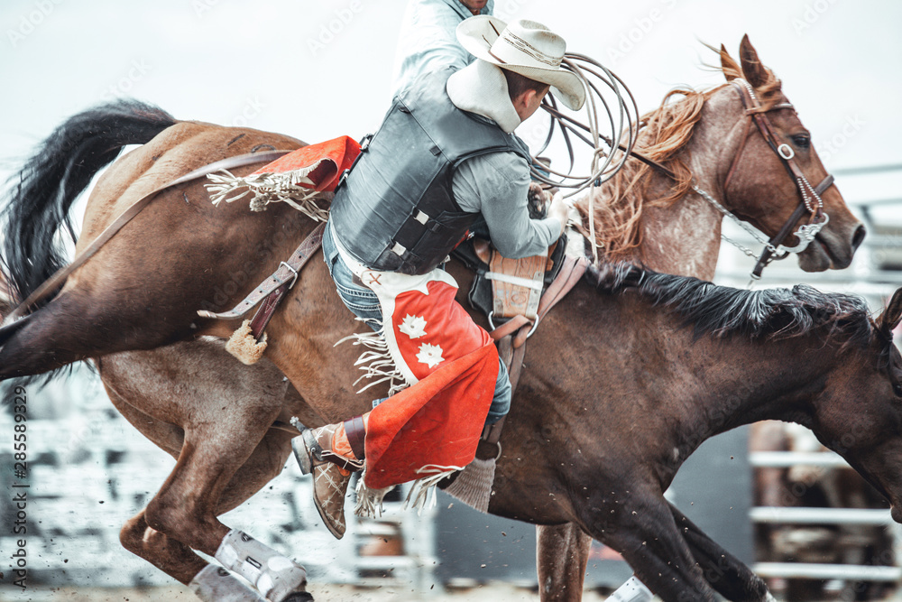 Cowboy falling off a wild horse during a bareback bronco ride in a western rodeo - obrazy, fototapety, plakaty 