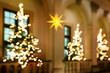 canvas print picture - unscharfe christbäume mit lichtern und weihnachtsstern, stimmungsvolle weihnachtsdekoration