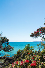 Kuaotunu beach from the north. Turquoise and blue water, rocky, great for snorkelling. Pohutukawa, NZs christmas tree. Summer scene, beautiful day, Coromandel is paradise. Postcard perfect sunny day.