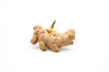 Wall Mural - Fresh sprouted ginger isolated on white background