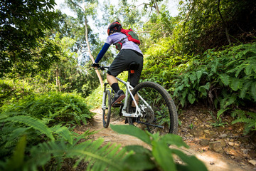 Cross country biking woman cyclist riding mountain bike on tropical rainforest trail