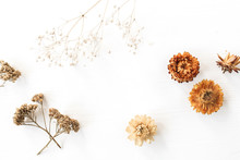 Dry Floral Branch And Buds On White Background. Flat Lay, Top View Minimal Neutral Flower Composition.
