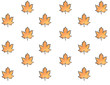 Seamless pattern maple leafs in orange colors isolated on white background. Autumn background with leaves