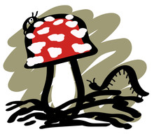 Amanita And Insects On A White Background. Vector Illustration.