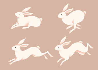 lovely jumping white rabbits