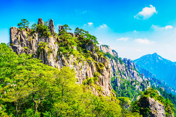 Wall Mural - landscape of mount huangshan (yellow mountains). unesco world heritage site. located in huangshan, a