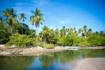 Wall Mural - Scenic sunlit view of deserted tropical beach with palm trees reflecting on smooth waters in Bahia, Brazil