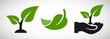 Seedling and hand with leaves eco growing icon