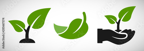 Photographie Seedling and hand with leaves eco growing icon