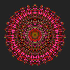 Poster - Colorful flower mandala ornament - circular abstract vector design element
