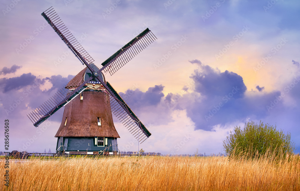 Volendam, Netherlands. Traditional Holland landscape with typical dutch windmill and yellow grass field, evening sunset sky in countryside. - obrazy, fototapety, plakaty 