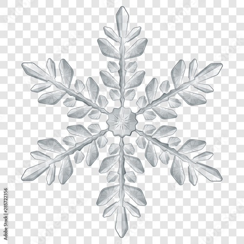 Cuadros en Lienzo Big complex translucent Christmas snowflake in gray colors for use on light background