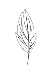 Sticker - branch with leaf isolated icon