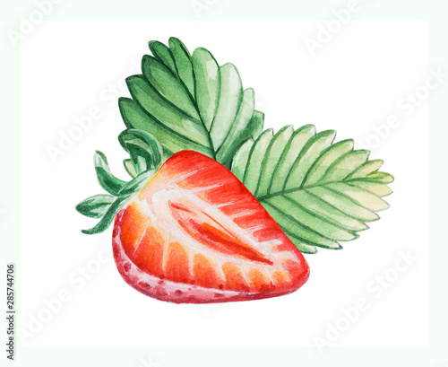 Watercolor red juicy strawberry with half berry. Food background, painted bri...