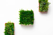 © Prostock-studio - Grassy plants in square and rectangular pots