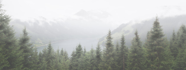 Wall Mural - Spruce trees and a lake with mountains in fog