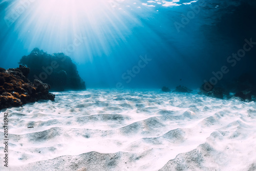 Obraz Dibond Tropikalny niebieski ocean z białym piaskiem i rafa koralowa pod wodą na Hawajach