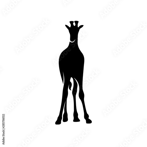Giraffe Logo Vector Animal Giraffe Logo Design Template Illustration Stock Vector Adobe Stock