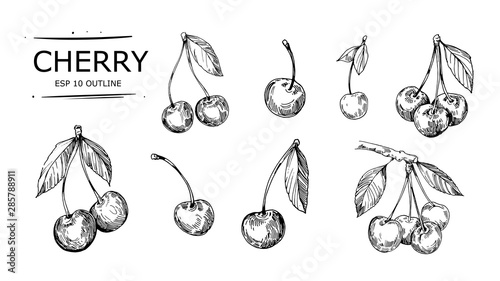 Cuadros en Lienzo Sketch of cherry. Hand drawn vector
