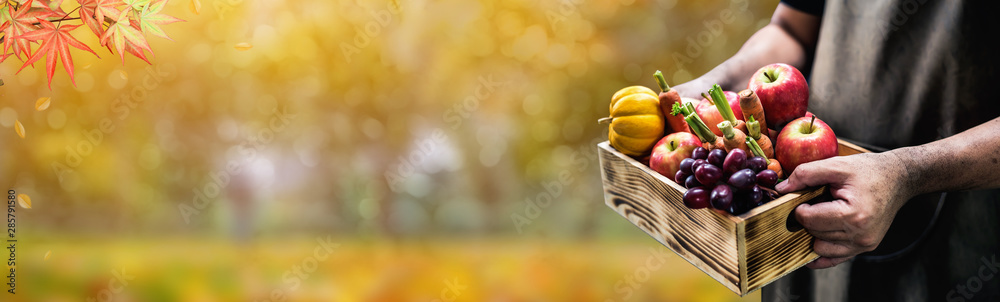 Autumn and Fall season. Harvest cornucopia and Thanksgiving day with eco fruit and vegetable. - obrazy, fototapety, plakaty 