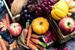 Autumn and Fall season. Harvest cornucopia and Thanksgiving day with eco fruit and vegetable.