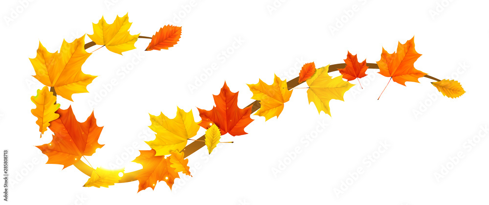 autumn border element with colored leaves - obrazy, fototapety, plakaty 
