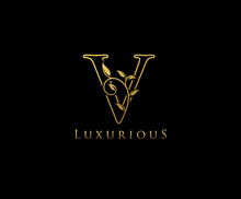 Letter V Logo Icon . Initial Letter V Design Vector Luxury Gold Color.Print Monogram Initials Line Art Sign Symbol.
