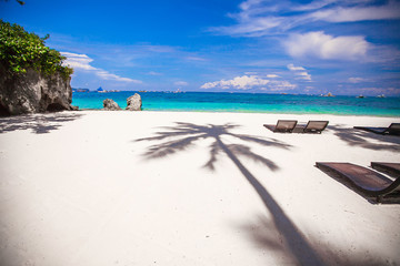 Wall Mural - Tropical beach with beautiful palms and white sand, Philippines