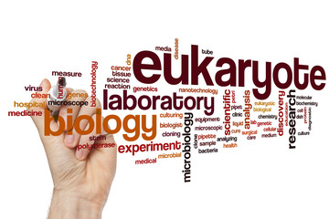 Canvas Print - Eukaryote word cloud