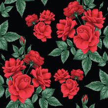 Seamless Pattern Beautiful Red Rose Flowers On Black Color Background.Vector Illustration Hand Drawing Line Art.