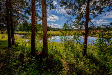 A beautiful transparent forest lake with a bright blue sky reflecting in it.