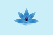 Blue Lotus Flower In Blossom Free Stock Photo - Public Domain Pictures