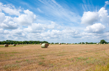 bales of hay in a field