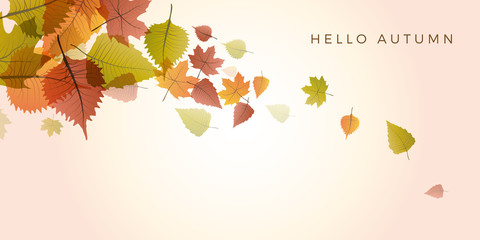 Autumn sale background, layout decorate with leaves of autumn. Poster and frame leaflet or web banner. Vector template.