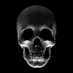 Vector line- art skull made by vertical lines. Human skull front view, enlightened from under.