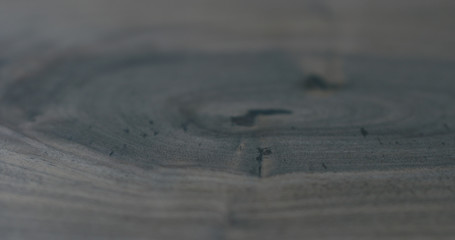 Canvas Print - Closeup natural black walnut wood board