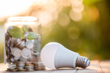 energy saving led bulb eco with the environment